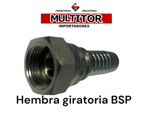 Imagen de Puntero Hidráulico Hembra Giratoria BSP 1/2" × Espiga 1/2"