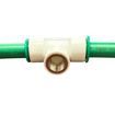 Imagen de Acople Rápido PPR Tee 20×20 mm con Inserto de Latón 1/2" IFAN