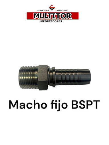 Imagen de Puntero Hidráulico Macho Fijo BSPT 3/8" × Espiga 3/8"